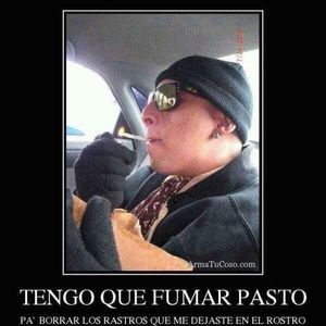 Meet your Posher, Arevalo